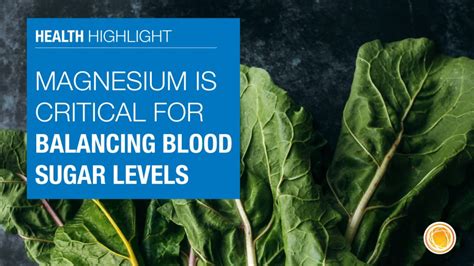 Magnesium: The Missing Piece in Your Weight Loss Journey